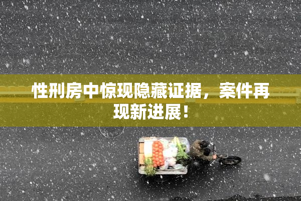 性刑房中惊现隐藏证据，案件再现新进展！