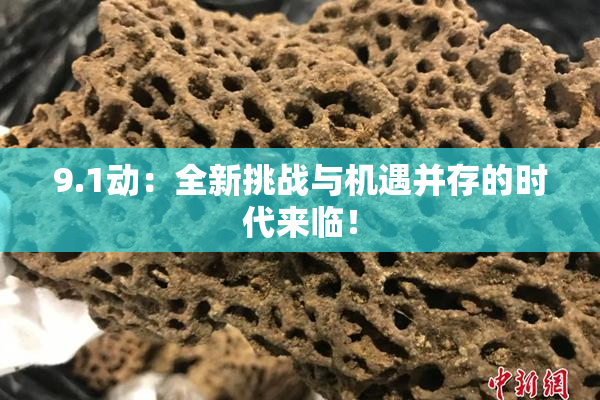 9.1动：全新挑战与机遇并存的时代来临！