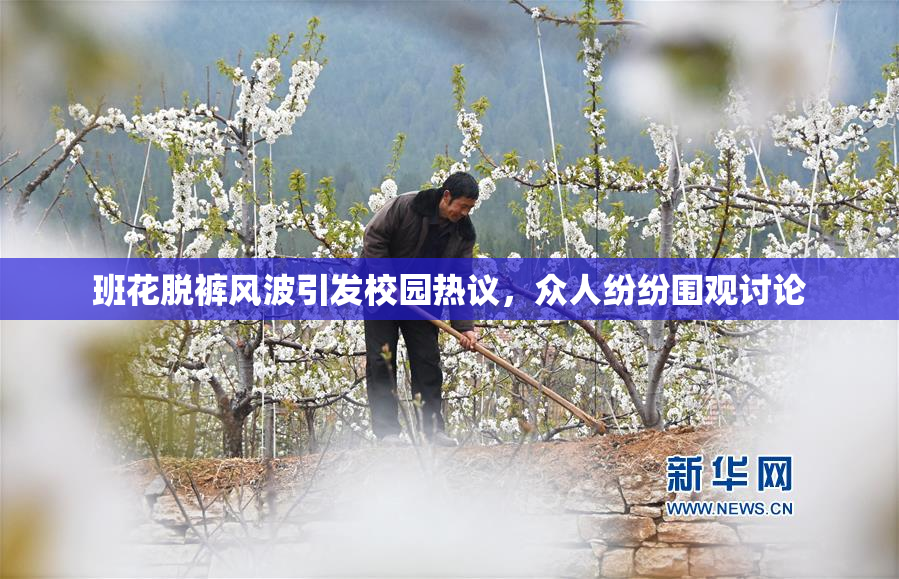 班花脱裤风波引发校园热议，众人纷纷围观讨论