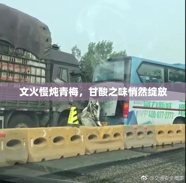 文火慢炖青梅，甘酸之味悄然绽放