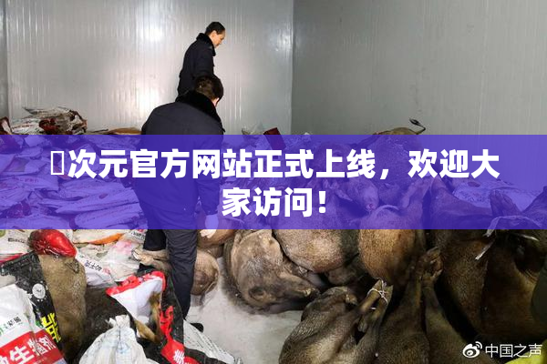 囧次元官方网站正式上线，欢迎大家访问！