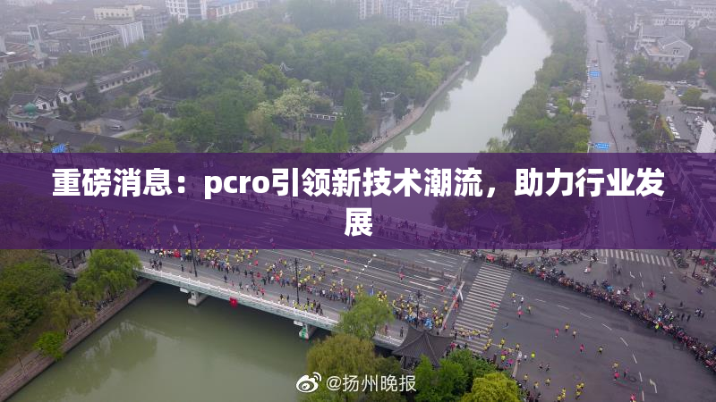 重磅消息：pcro引领新技术潮流，助力行业发展