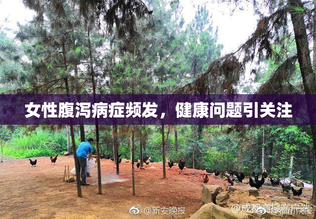 女性腹泻病症频发，健康问题引关注