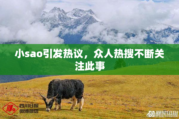 小sao引发热议，众人热搜不断关注此事
