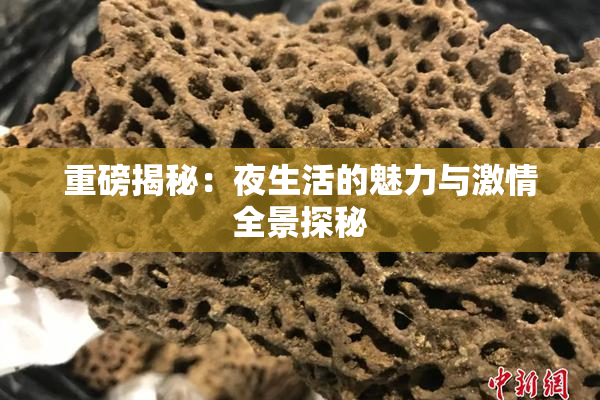 重磅揭秘：夜生活的魅力与激情全景探秘