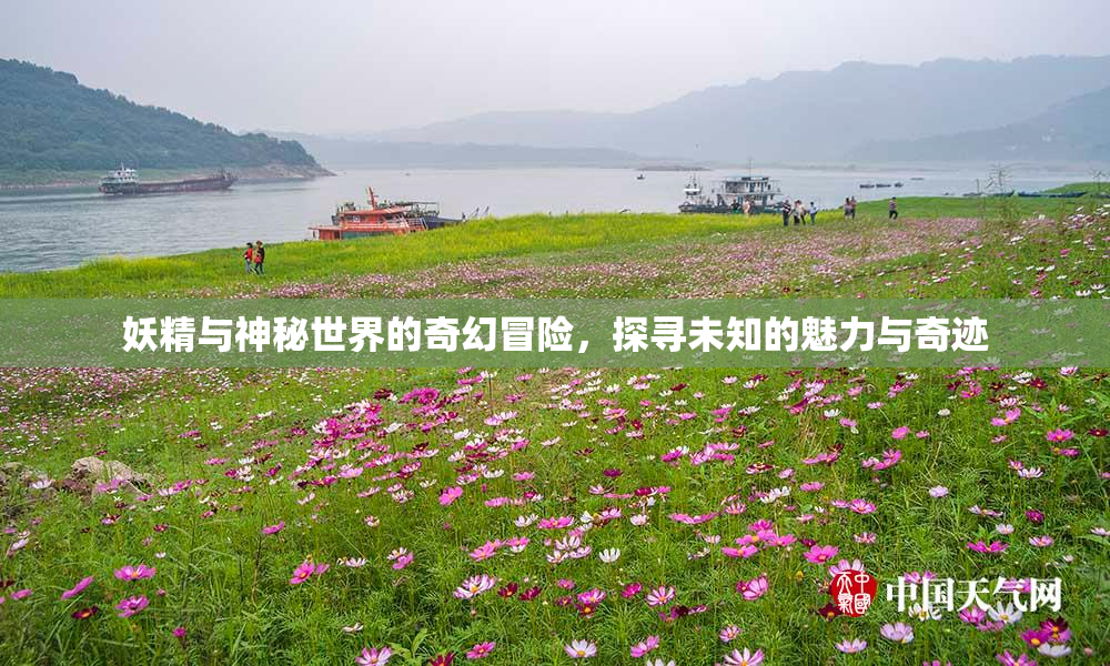妖精与神秘世界的奇幻冒险，探寻未知的魅力与奇迹