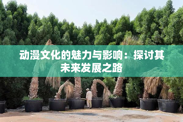 动漫文化的魅力与影响：探讨其未来发展之路