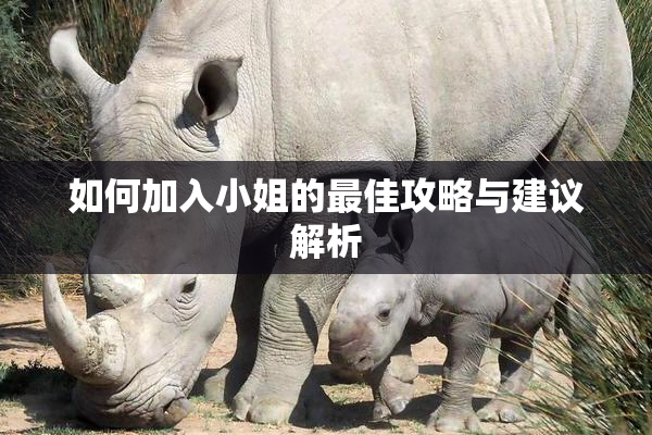 如何加入小姐的最佳攻略与建议解析