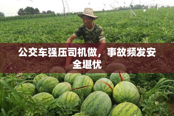 公交车强压司机做，事故频发安全堪忧