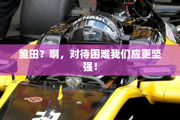 雏田？啊，对待困难我们应更坚强！