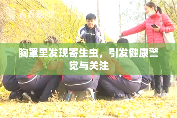 胸罩里发现寄生虫，引发健康警觉与关注