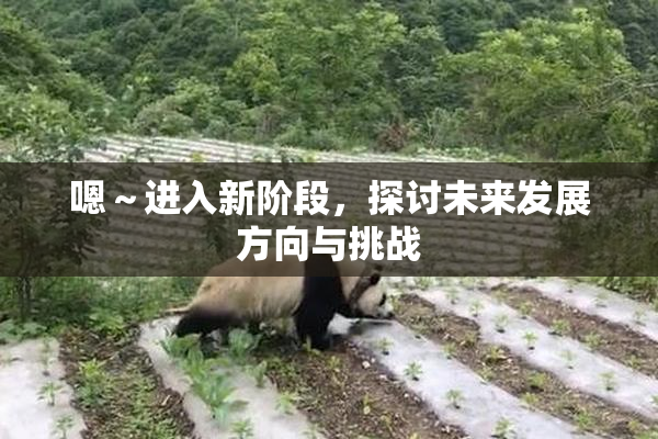 嗯～进入新阶段，探讨未来发展方向与挑战