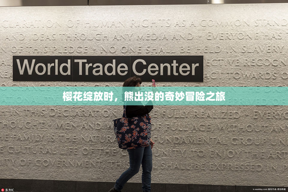 樱花绽放时，熊出没的奇妙冒险之旅