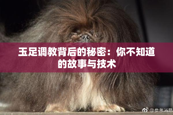 玉足调教背后的秘密：你不知道的故事与技术