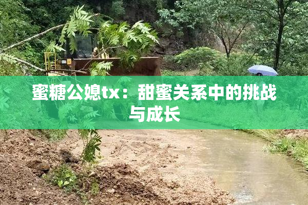 蜜糖公媳tx：甜蜜关系中的挑战与成长