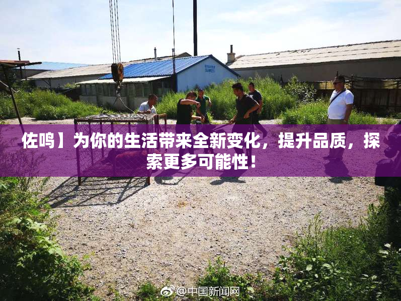 佐鸣】为你的生活带来全新变化，提升品质，探索更多可能性！