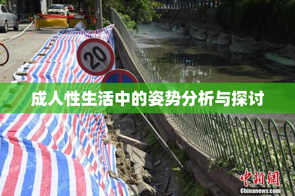 成人性生活中的姿势分析与探讨