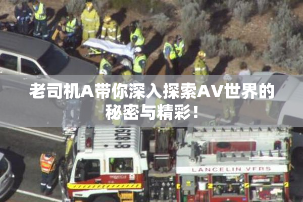 老司机A带你深入探索AV世界的秘密与精彩！