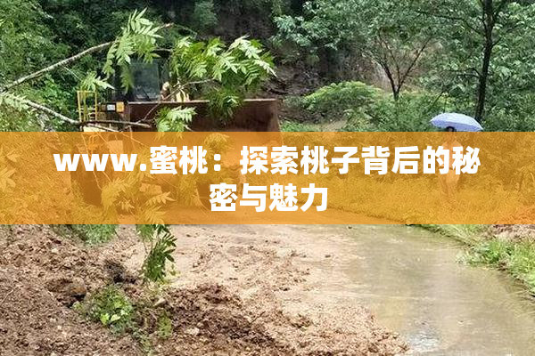 www.蜜桃：探索桃子背后的秘密与魅力