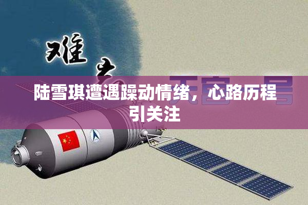 陆雪琪遭遇躁动情绪，心路历程引关注