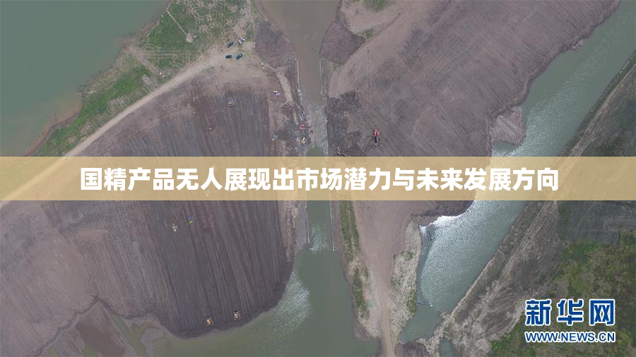 国精产品无人展现出市场潜力与未来发展方向