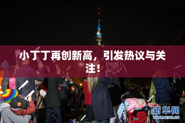 小丁丁再创新高，引发热议与关注！