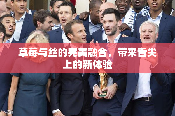 草莓与丝的完美融合，带来舌尖上的新体验