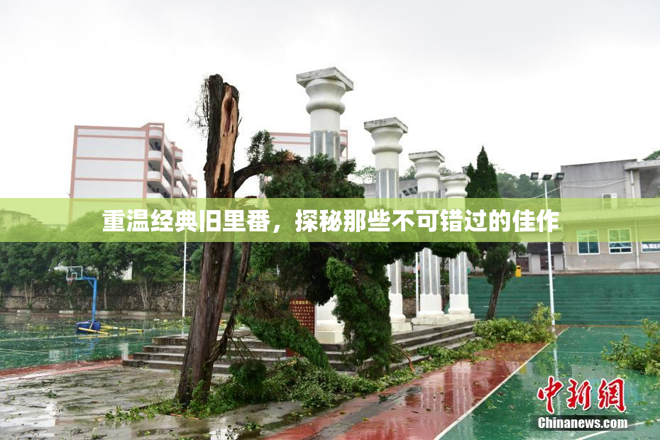 重温经典旧里番，探秘那些不可错过的佳作