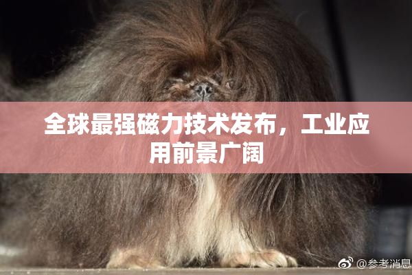 全球最强磁力技术发布，工业应用前景广阔