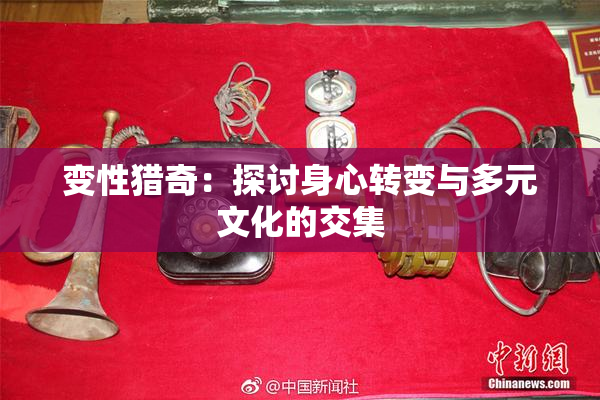 变性猎奇：探讨身心转变与多元文化的交集