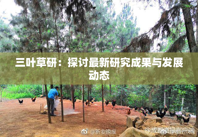 三叶草研：探讨最新研究成果与发展动态