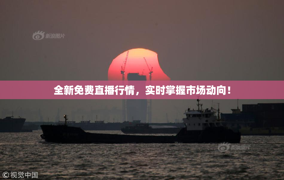 全新免费直播行情，实时掌握市场动向！