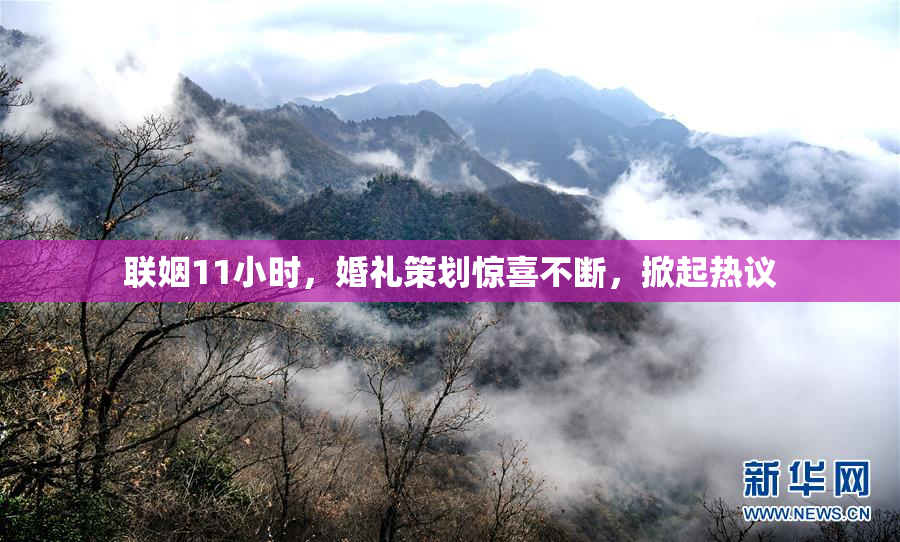 联姻11小时，婚礼策划惊喜不断，掀起热议