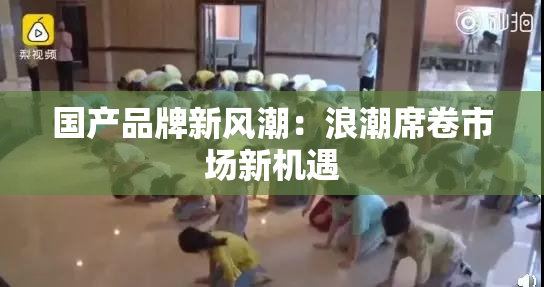 国产品牌新风潮：浪潮席卷市场新机遇