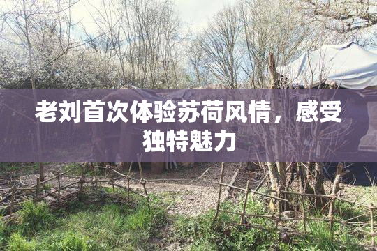 老刘首次体验苏荷风情，感受独特魅力