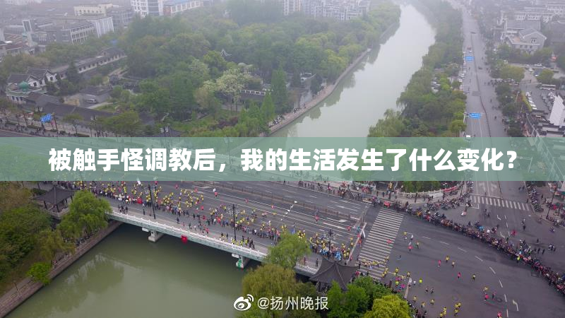 被触手怪调教后，我的生活发生了什么变化？