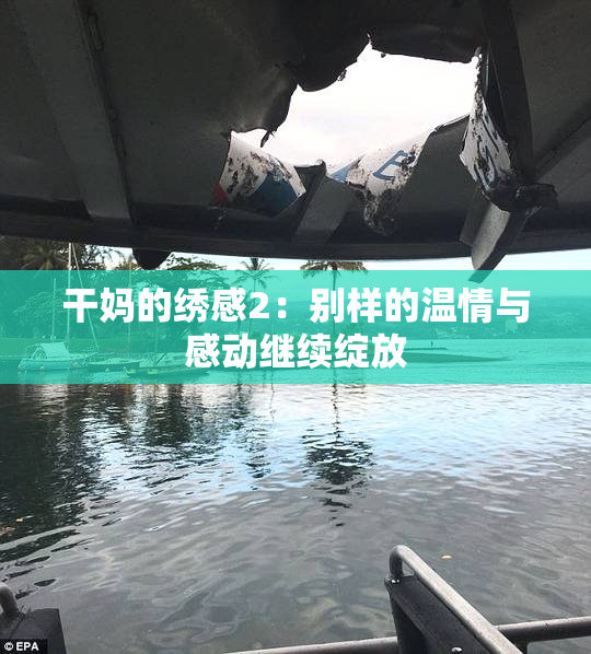 干妈的绣感2：别样的温情与感动继续绽放