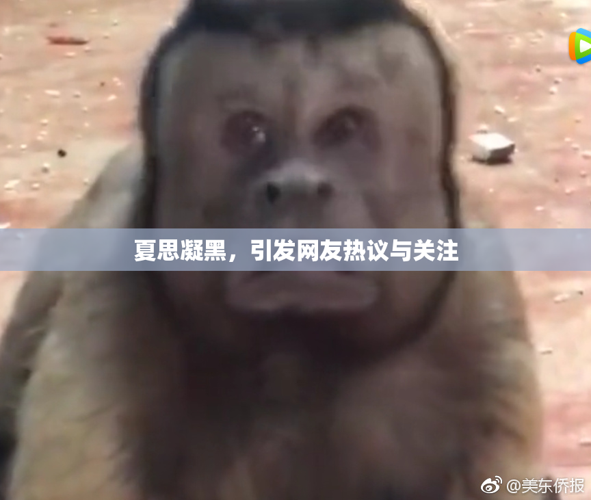 夏思凝黑，引发网友热议与关注