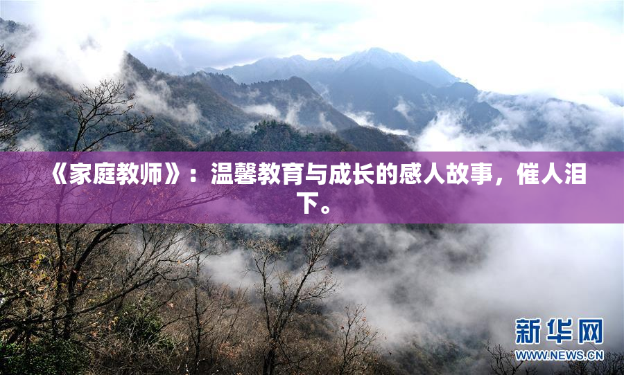 《家庭教师》：温馨教育与成长的感人故事，催人泪下。