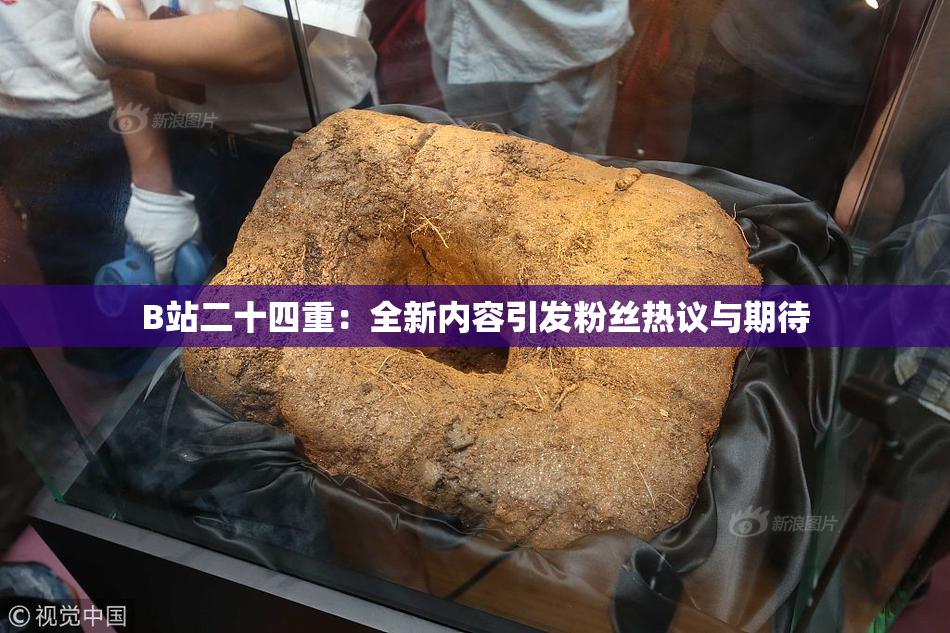 B站二十四重：全新内容引发粉丝热议与期待