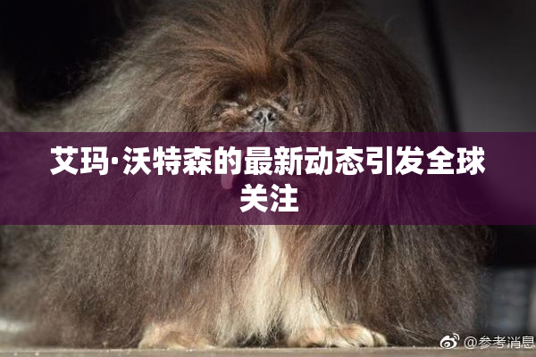 艾玛·沃特森的最新动态引发全球关注
