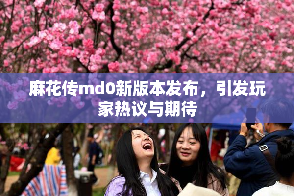 麻花传md0新版本发布，引发玩家热议与期待
