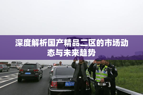 深度解析国产精品二区的市场动态与未来趋势