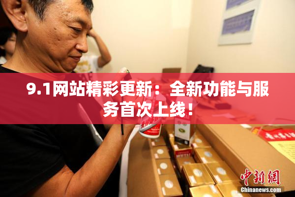 9.1网站精彩更新：全新功能与服务首次上线！