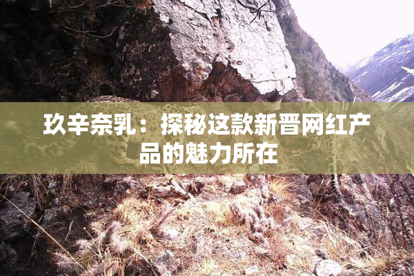 玖辛奈乳：探秘这款新晋网红产品的魅力所在