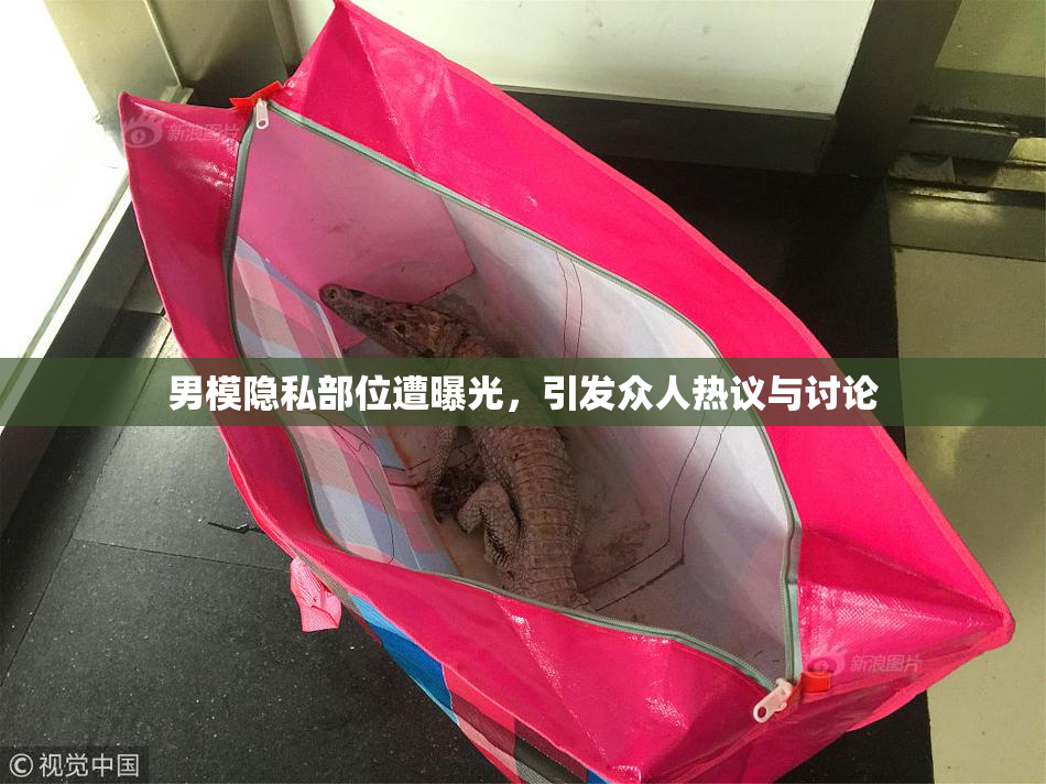 男模隐私部位遭曝光，引发众人热议与讨论