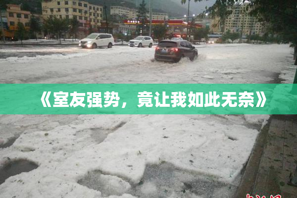 《室友强势，竟让我如此无奈》