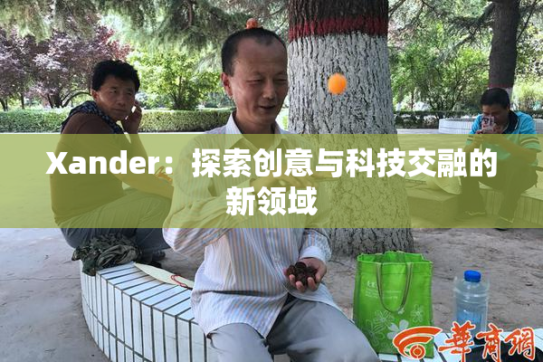 Xander：探索创意与科技交融的新领域