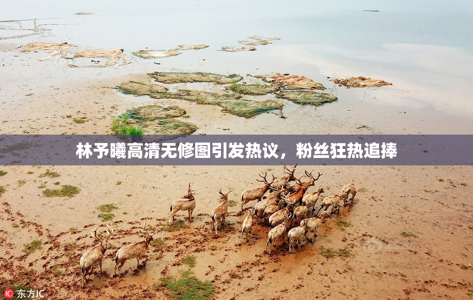 林予曦高清无修图引发热议，粉丝狂热追捧