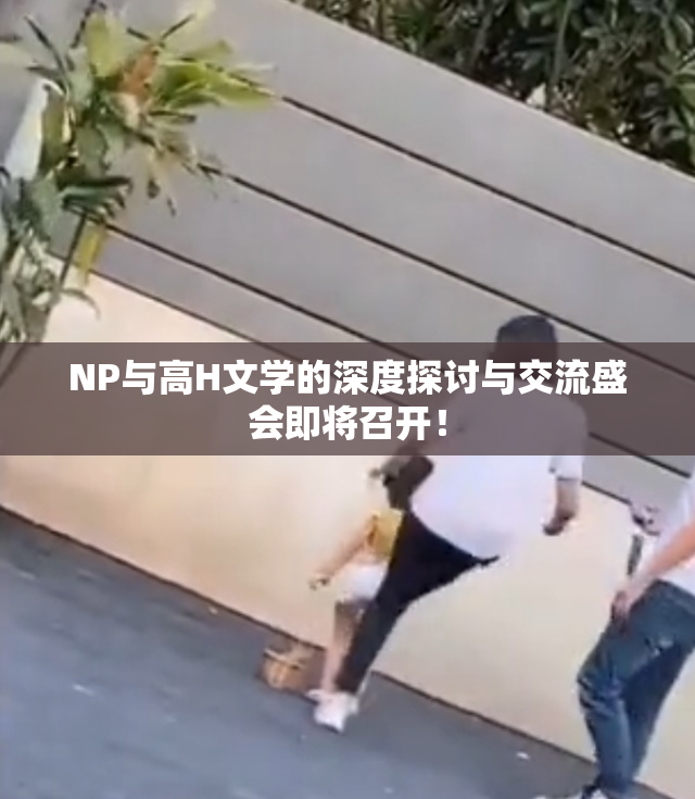 NP与高H文学的深度探讨与交流盛会即将召开！